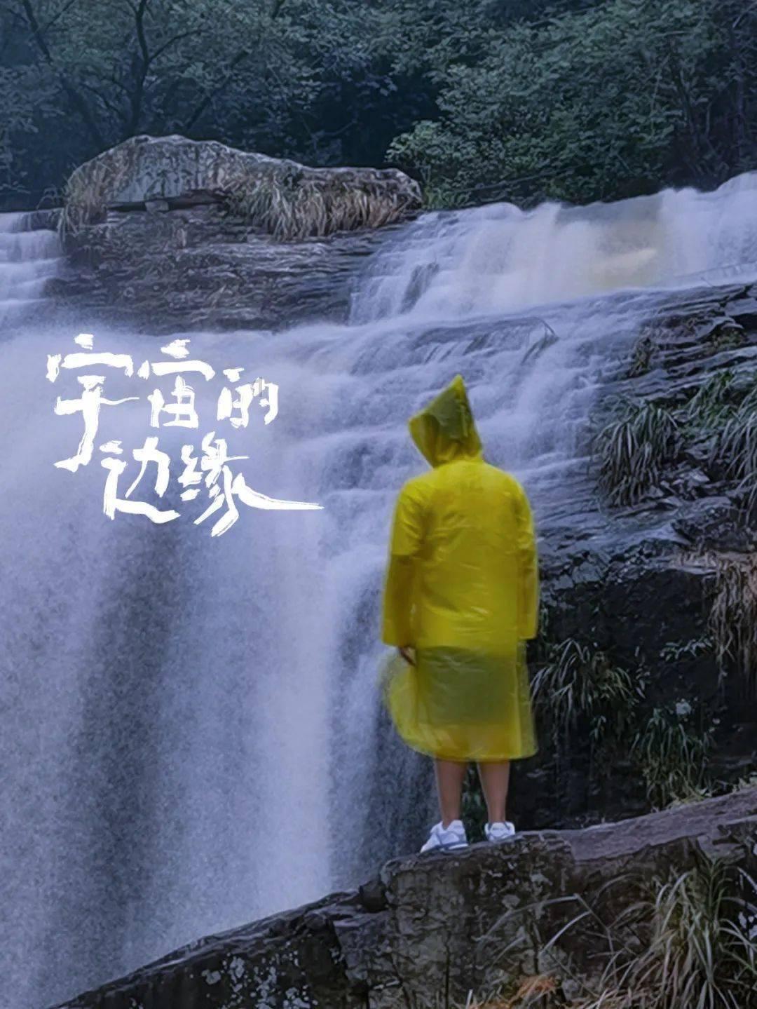 吃金币的猫
